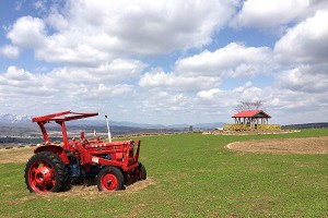 furano_rokugo_tenbodai