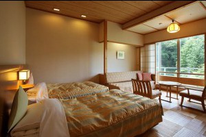 sakunami_ichinobo6