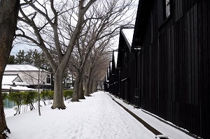 sankyosoko_winter