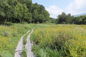 shigakogen_seseragi1