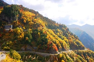 hakusanshirakawago_whiteroad_koyo