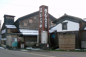 koshinomurasaki2