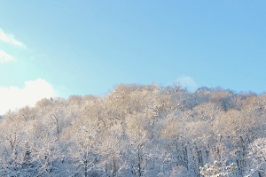 nishiokoppe_winter2