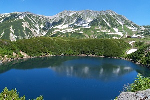 プラン画像