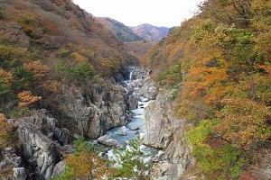 プラン画像